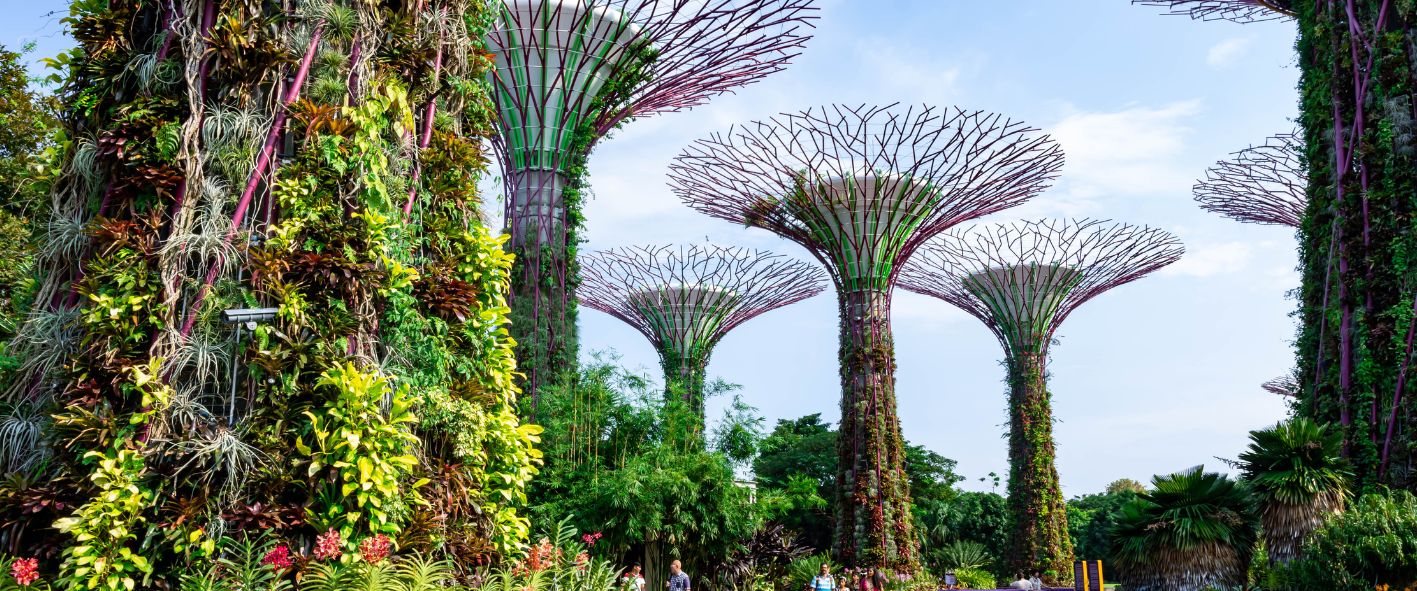 Gardens by the Bay